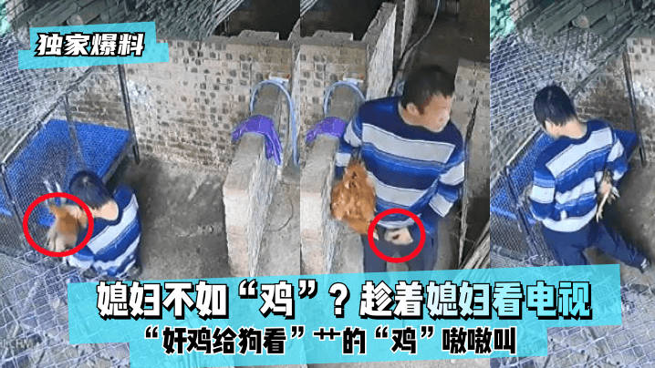 国产欧美日韩一区二区的人