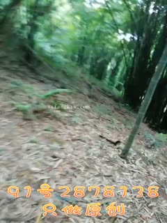 超碰无码免费视频,中文字幕av无码手机版